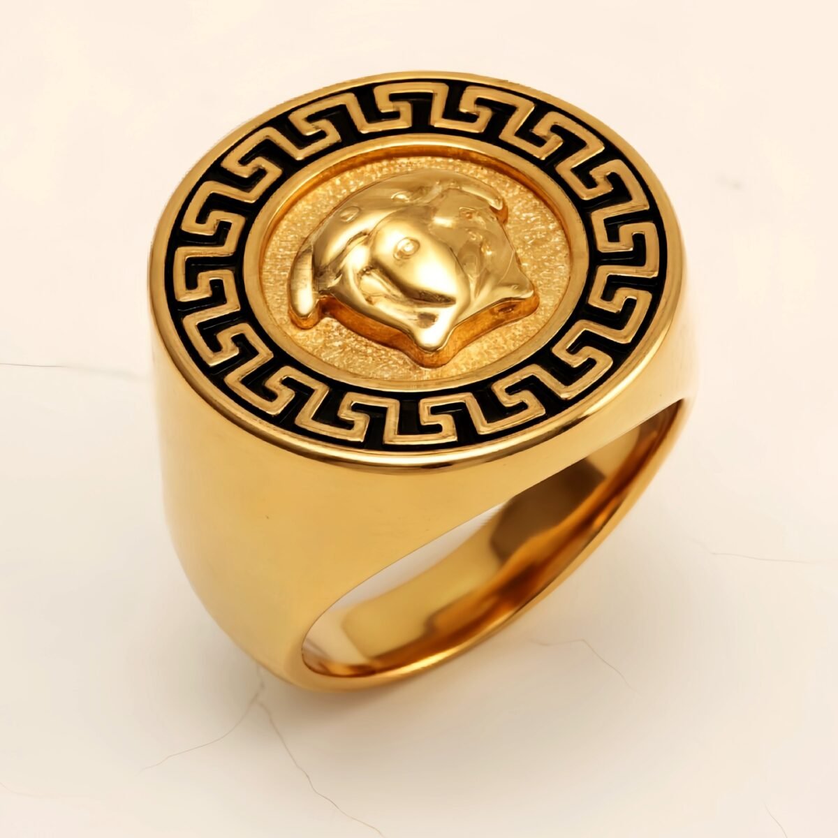 Geometric - bordered Lion - head Stainless Steel Ring - Personalized Jewelry for Men | DZ251 - Image 3