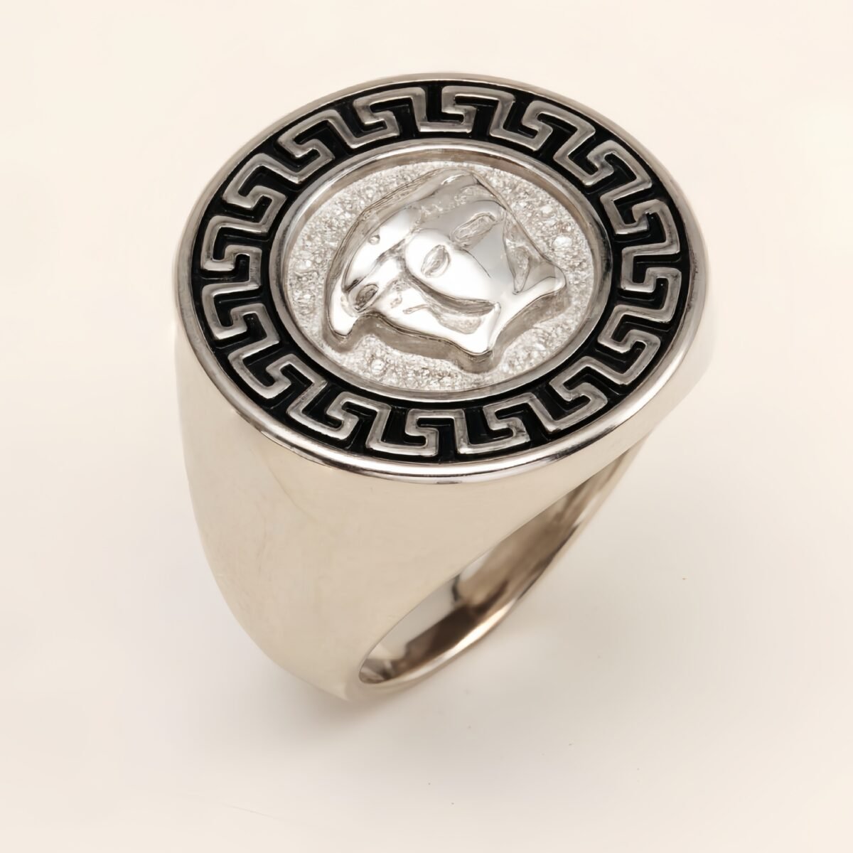 Geometric - bordered Lion - head Stainless Steel Ring - Personalized Jewelry for Men | DZ251 - Image 5