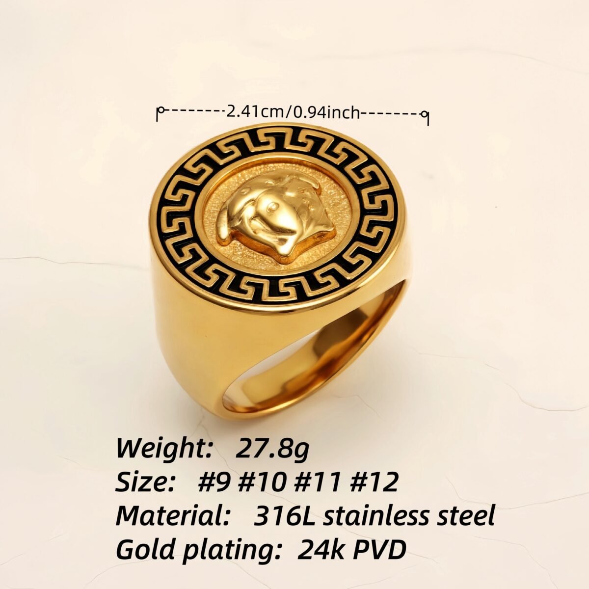 Geometric - bordered Lion - head Stainless Steel Ring - Personalized Jewelry for Men | DZ251 - Image 4