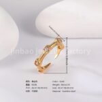 Luxu24K Gold PVD Stainless Steel Titanium Unique Multi-Designs Women's Ring - Image 7