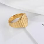 Modern Stainless Steel Textured Stripe Signet Ring for Women | N001502 - Image 3